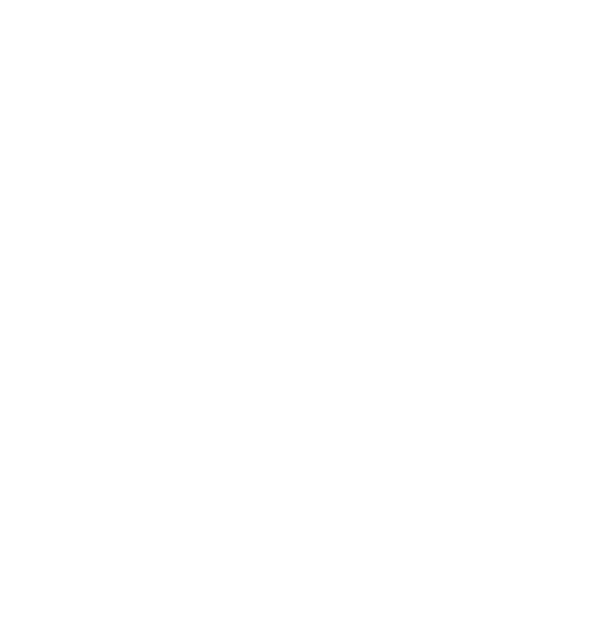 x-icon-white